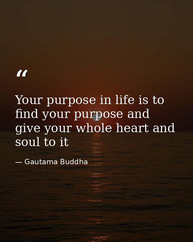 Your purpose in life is to find your purpose and give your whole heart and soul to it — Gautama Buddha