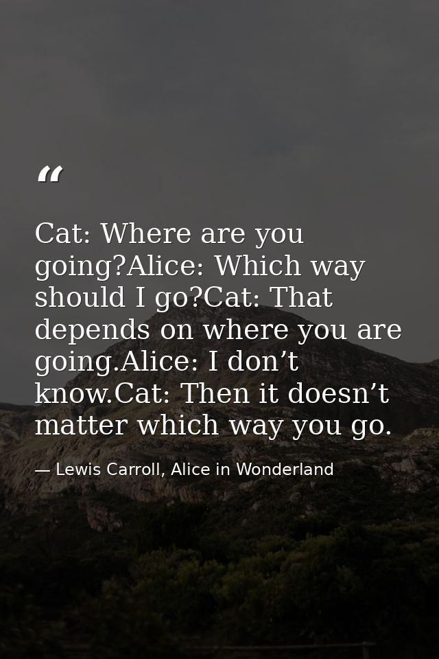 Cat: Where are you going?Alice: Which way should I go?Cat: That depends on where you are going.Alice: I don’t know.Cat:  — Lewis Carroll, Alice in Wonderland