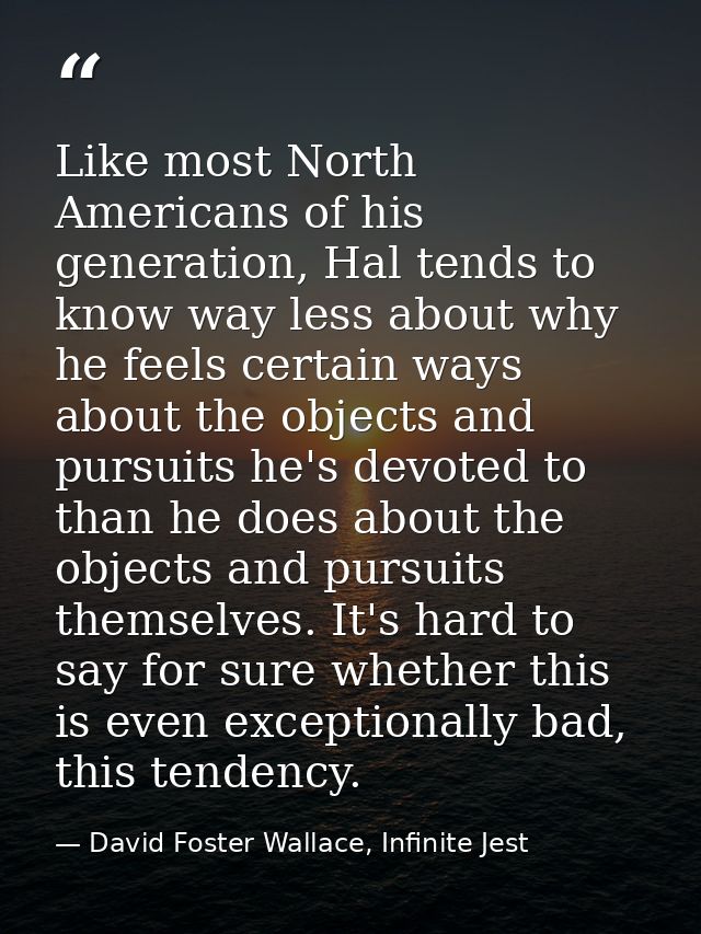 Like most North Americans of his generation, Hal tends to know way less about why he feels certain ways about the object — David Foster Wallace, Infinite Jest