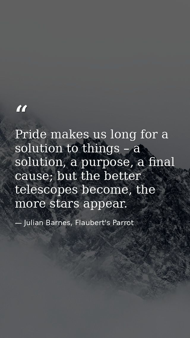 Pride makes us long for a solution to things – a solution, a purpose, a final cause; but the better telescopes become, t — Julian Barnes, Flaubert's Parrot