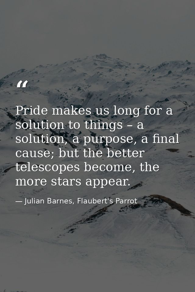 Pride makes us long for a solution to things – a solution, a purpose, a final cause; but the better telescopes become, t — Julian Barnes, Flaubert's Parrot