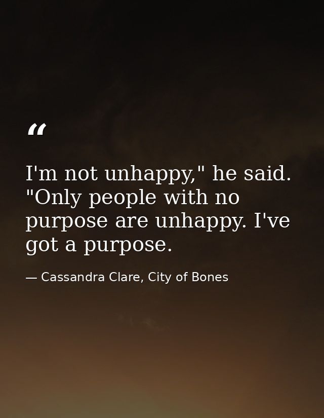 I'm not unhappy," he said. "Only people with no purpose are unhappy. I've got a purpose. — Cassandra Clare, City of Bones