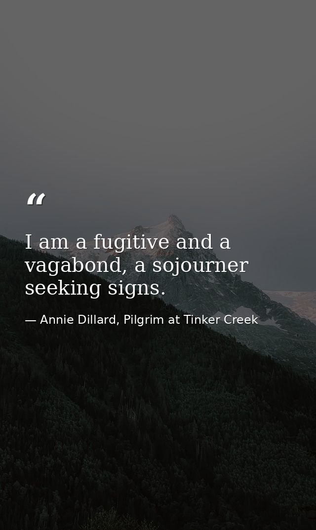 I am a fugitive and a vagabond, a sojourner seeking signs. — Annie Dillard, Pilgrim at Tinker Creek