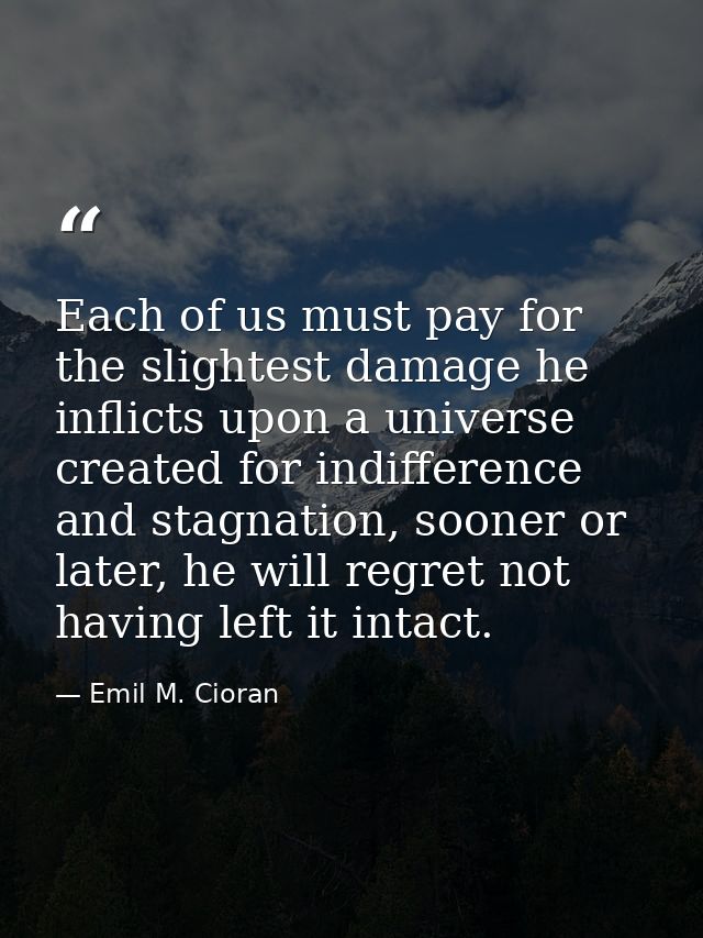 Each of us must pay for the slightest damage he inflicts upon a universe created for indifference and stagnation, sooner — Emil M. Cioran
