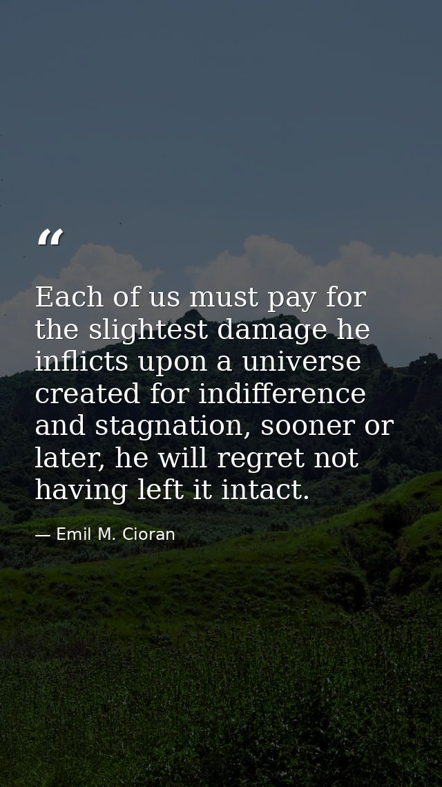 Each of us must pay for the slightest damage he inflicts upon a universe created for indifference and stagnation, sooner — Emil M. Cioran