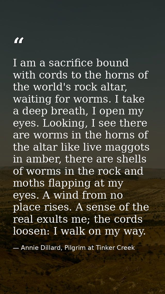 I am a sacrifice bound with cords to the horns of the world's rock altar, waiting for worms. I take a deep breath, I ope — Annie Dillard, Pilgrim at Tinker Creek