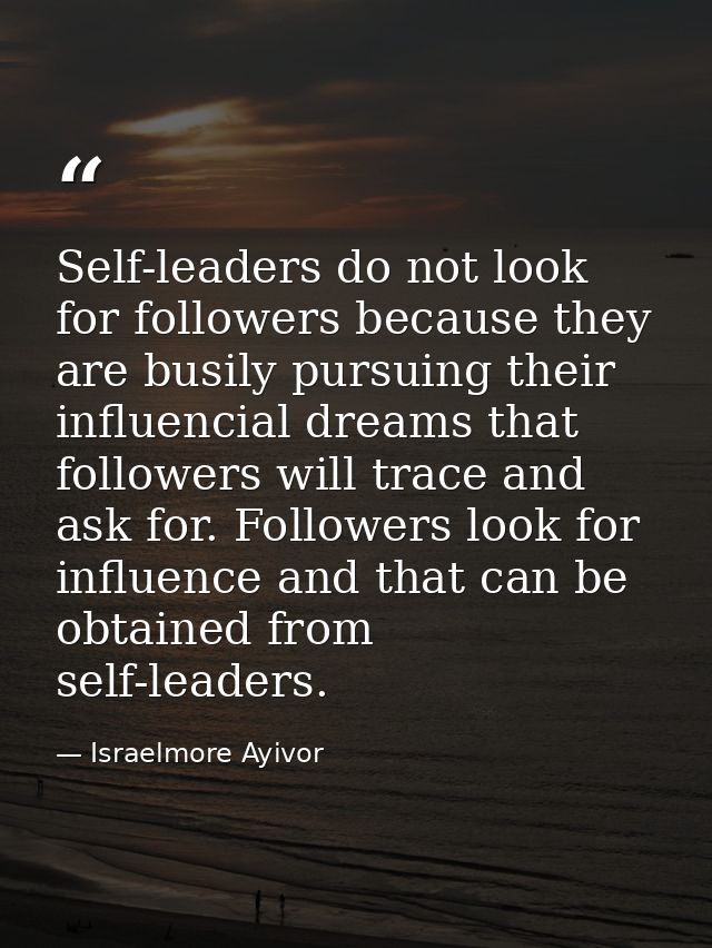 Self-leaders do not look for followers because they are busily pursuing their influencial dreams that followers will tra — Israelmore Ayivor