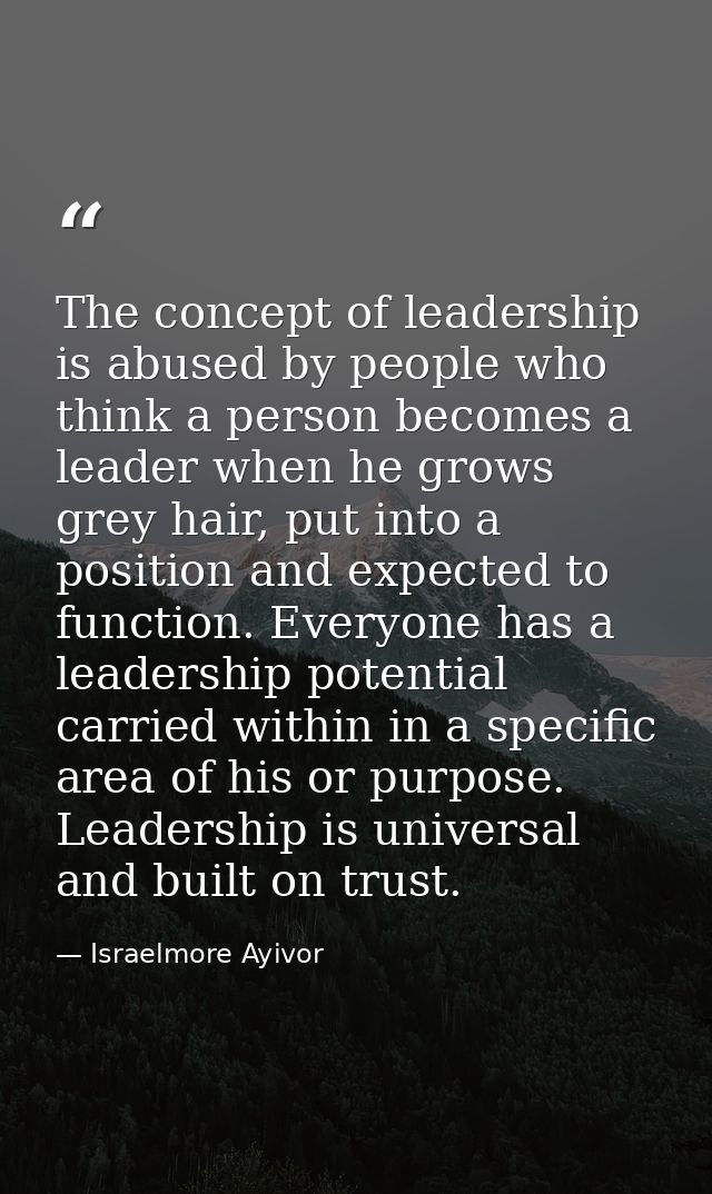 The concept of leadership is abused by people who think a person becomes a leader when he grows grey hair, put into a po — Israelmore Ayivor