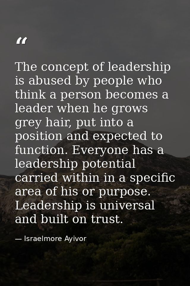 The concept of leadership is abused by people who think a person becomes a leader when he grows grey hair, put into a po — Israelmore Ayivor
