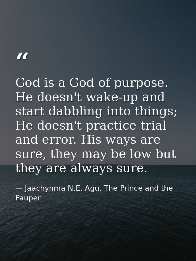 God is a God of purpose. He doesn't wake-up and start dabbling into things; He doesn't practice trial and error. His way — Jaachynma N.E. Agu, The Prince and the Pauper