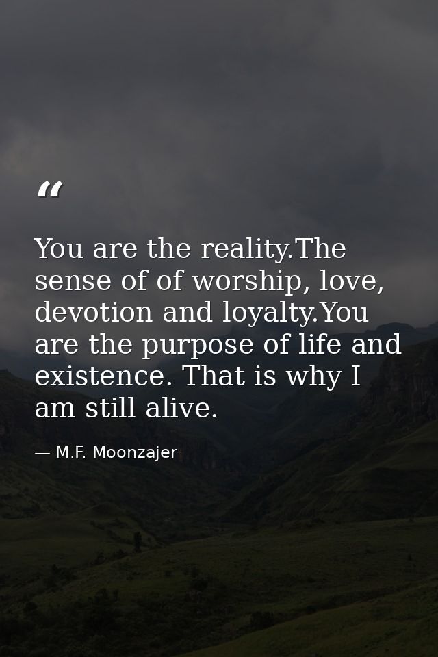 You are the reality.The sense of of worship, love, devotion and loyalty.You are the purpose of life and existence. That  — M.F. Moonzajer