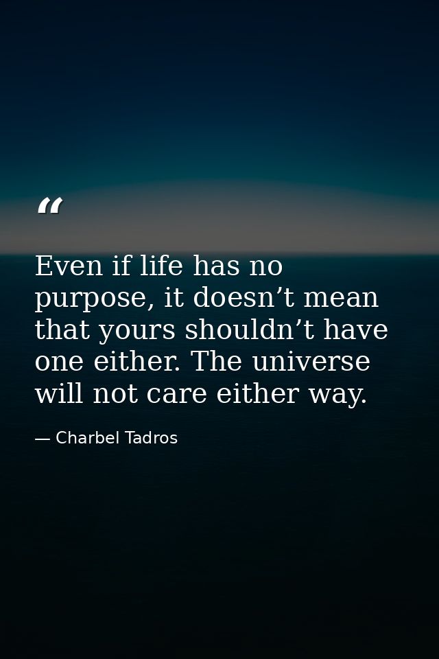 Even if life has no purpose, it doesn’t mean that yours shouldn’t have one either. The universe will not care either way — Charbel Tadros