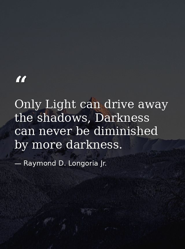 Only Light can drive away the shadows, Darkness can never be diminished by more darkness. — Raymond D. Longoria Jr.