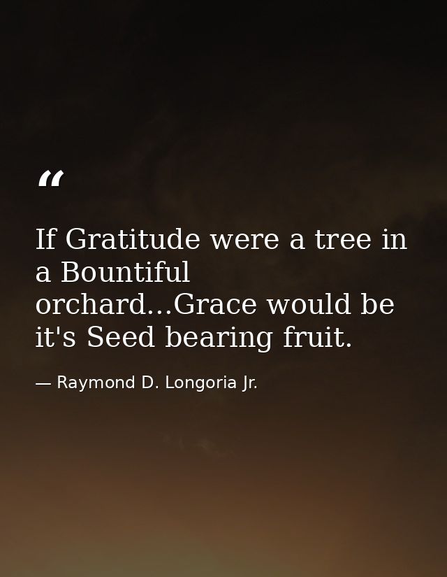 If Gratitude were a tree in a Bountiful orchard...Grace would be it's Seed bearing fruit. — Raymond D. Longoria Jr.