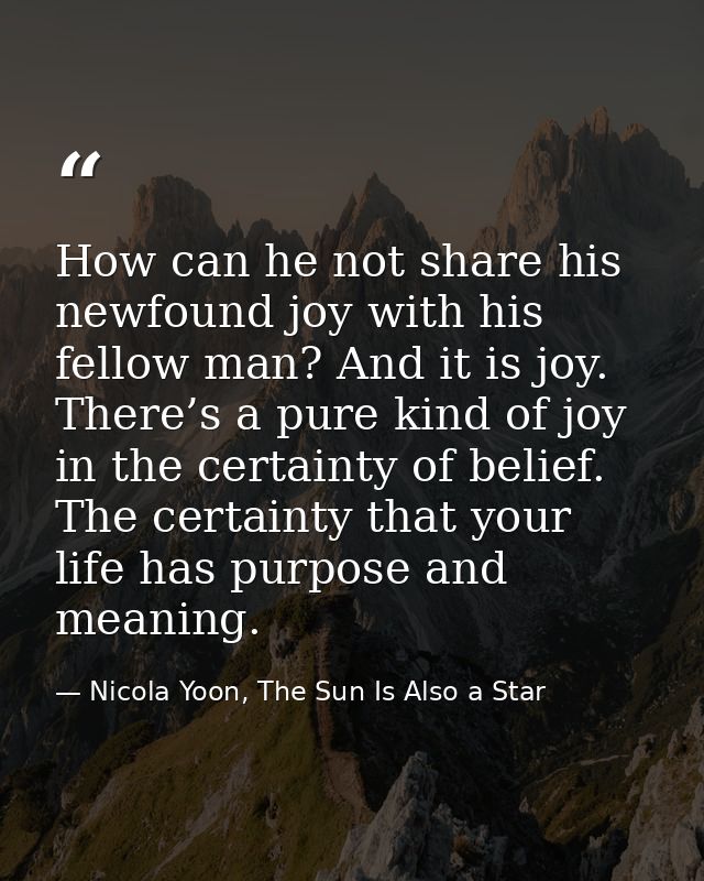 How can he not share his newfound joy with his fellow man? And it is joy. There’s a pure kind of joy in the certainty of — Nicola Yoon, The Sun Is Also a Star