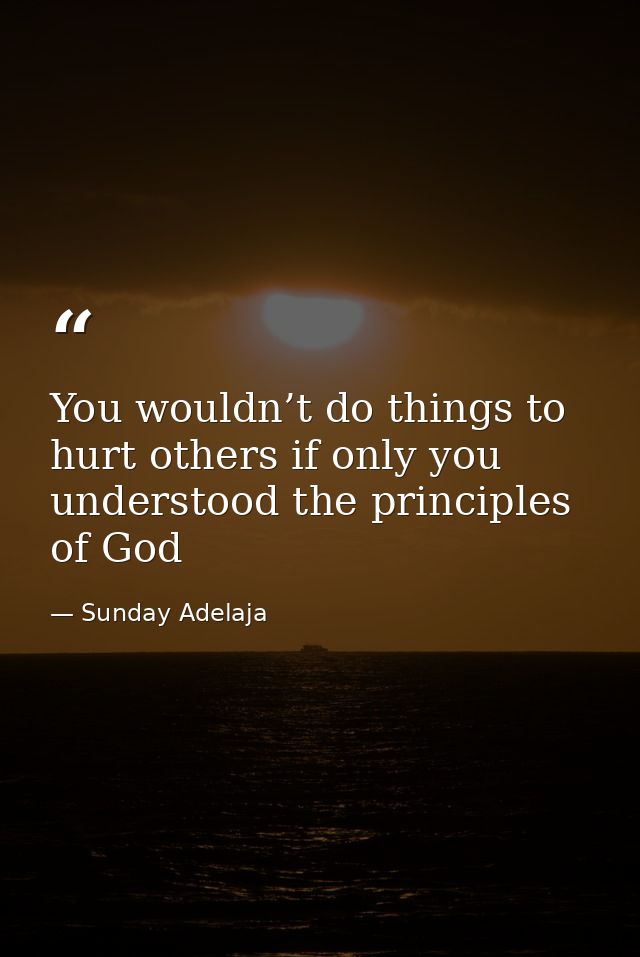 You wouldn’t do things to hurt others if only you understood the principles of God — Sunday Adelaja