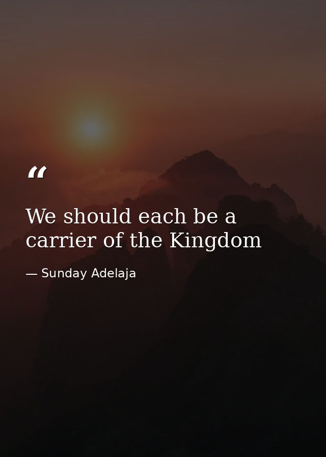We should each be a carrier of the Kingdom — Sunday Adelaja