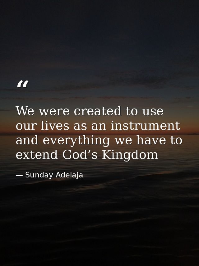 We were created to use our lives as an instrument and everything we have to extend God’s Kingdom — Sunday Adelaja