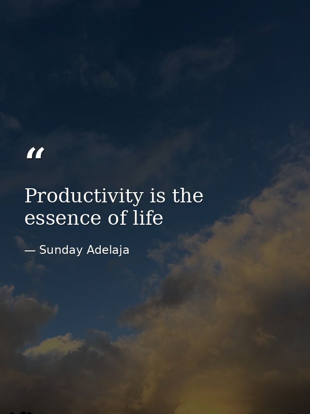 Productivity is the essence of life — Sunday Adelaja