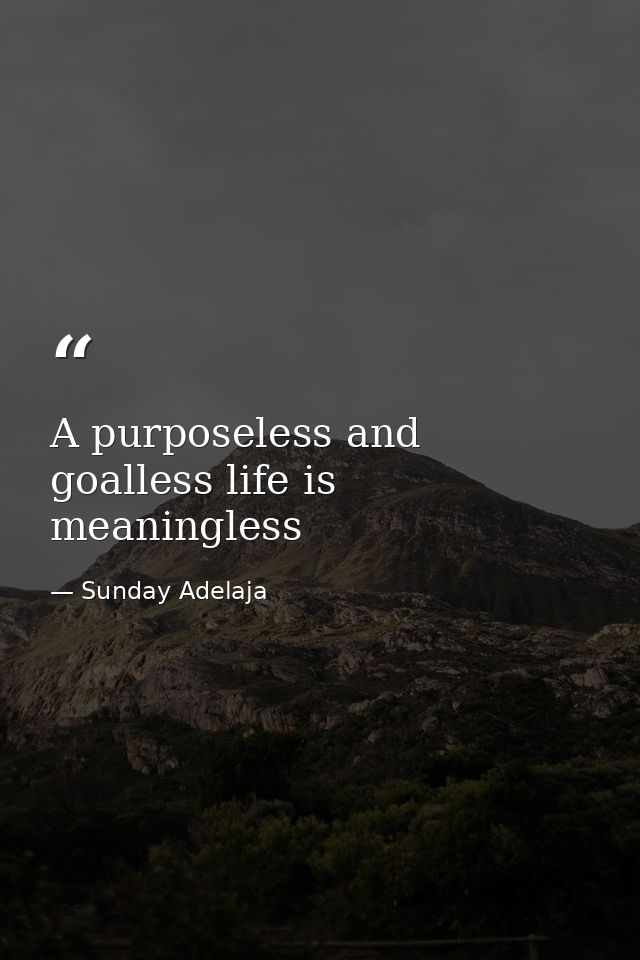 A purposeless and goalless life is meaningless — Sunday Adelaja