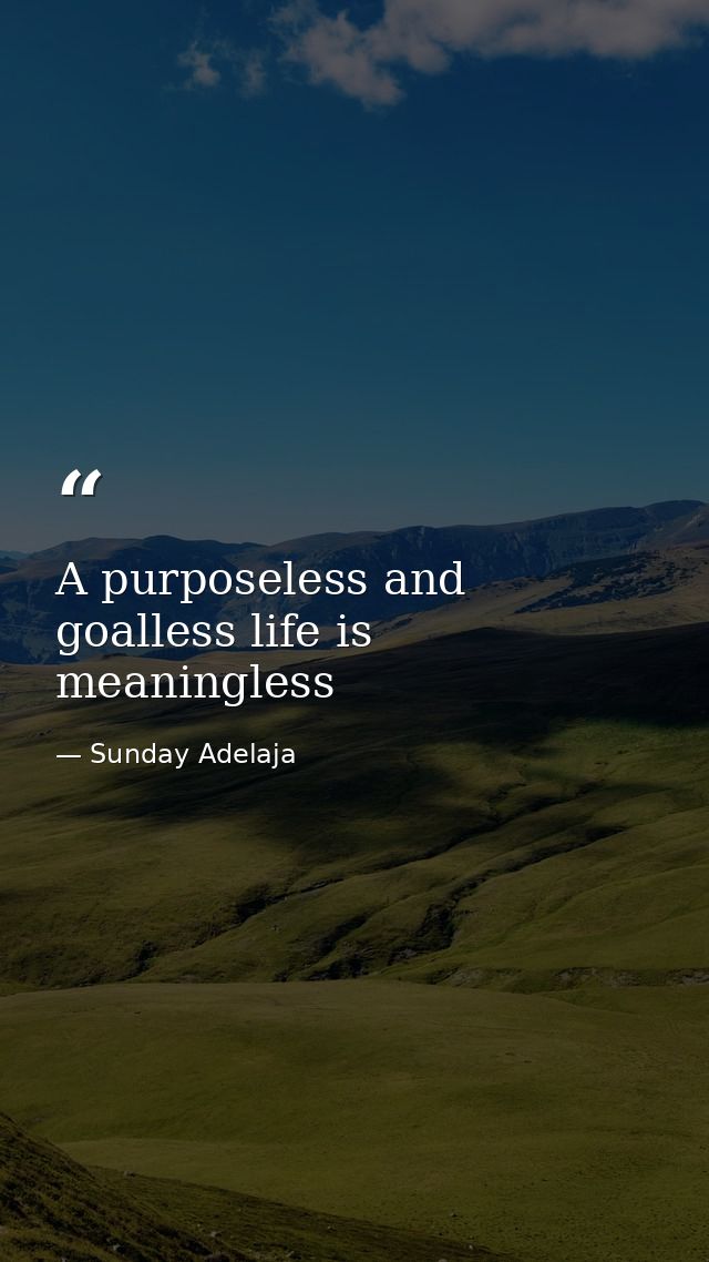 A purposeless and goalless life is meaningless — Sunday Adelaja