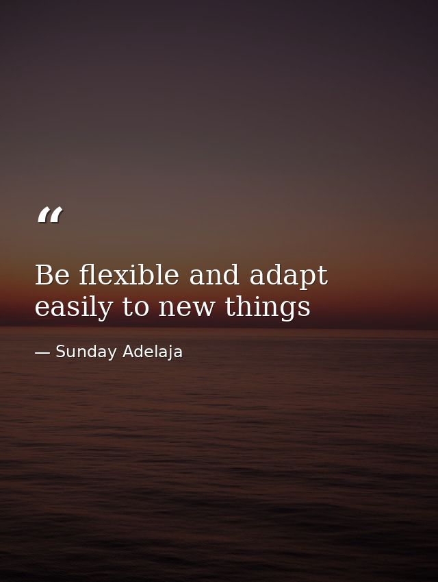Be flexible and adapt easily to new things — Sunday Adelaja