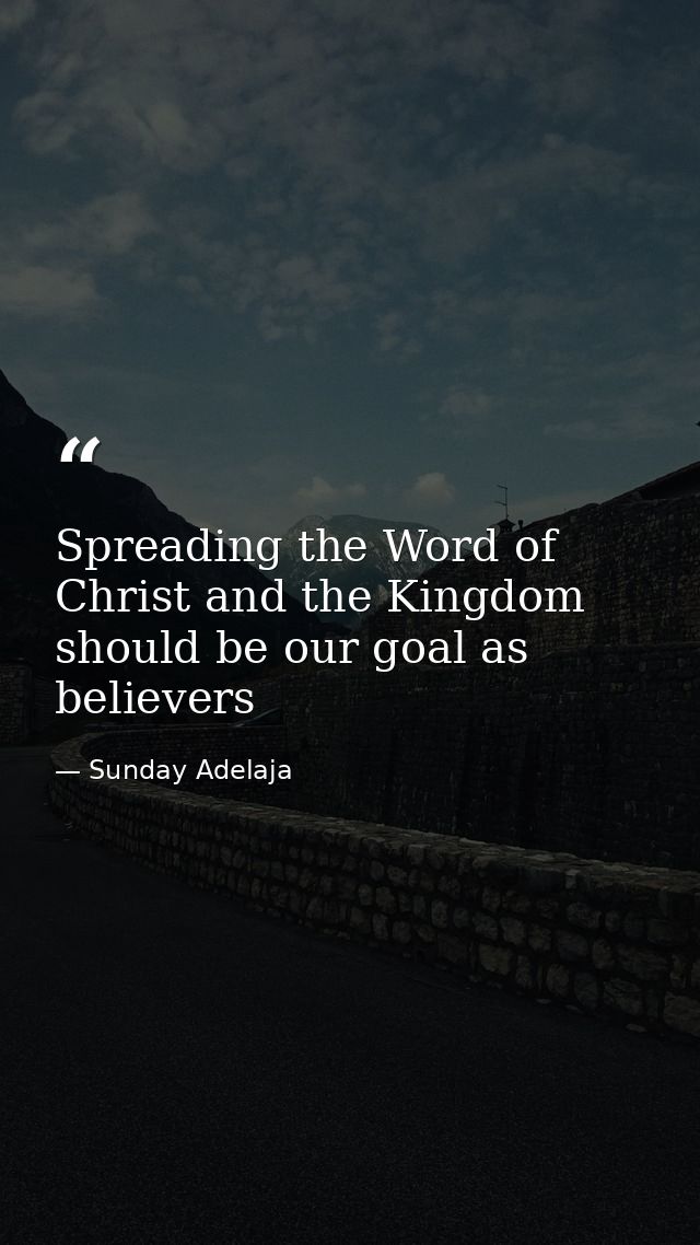 Spreading the Word of Christ and the Kingdom should be our goal as believers — Sunday Adelaja