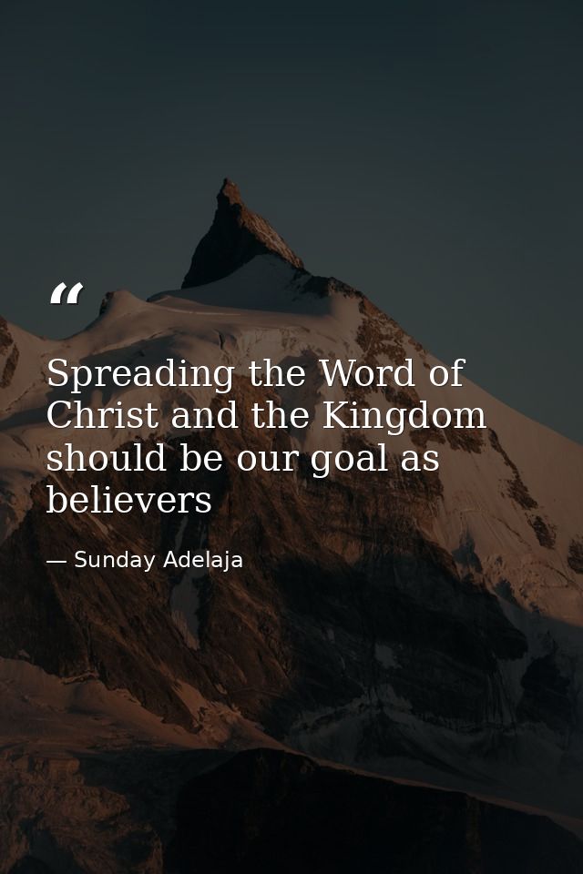 Spreading the Word of Christ and the Kingdom should be our goal as believers — Sunday Adelaja