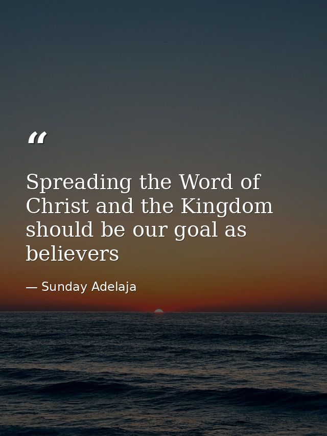 Spreading the Word of Christ and the Kingdom should be our goal as believers — Sunday Adelaja