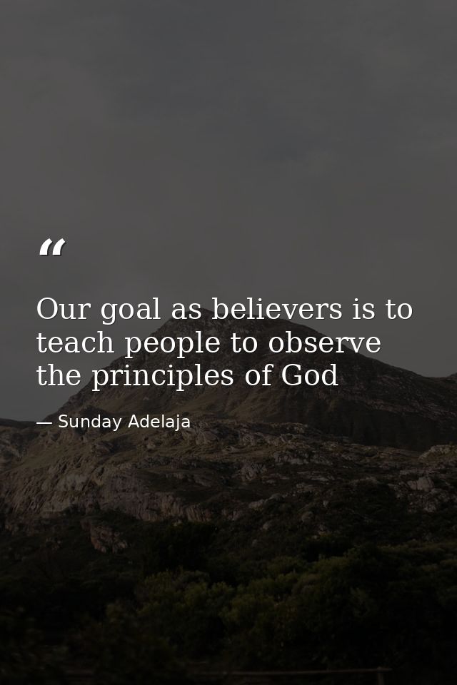 Our goal as believers is to teach people to observe the principles of God — Sunday Adelaja