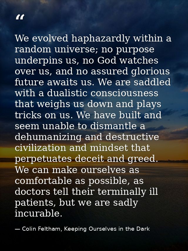 We evolved haphazardly within a random universe; no purpose underpins us, no God watches over us, and no assured gloriou — Colin Feltham, Keeping Ourselves in the Dark