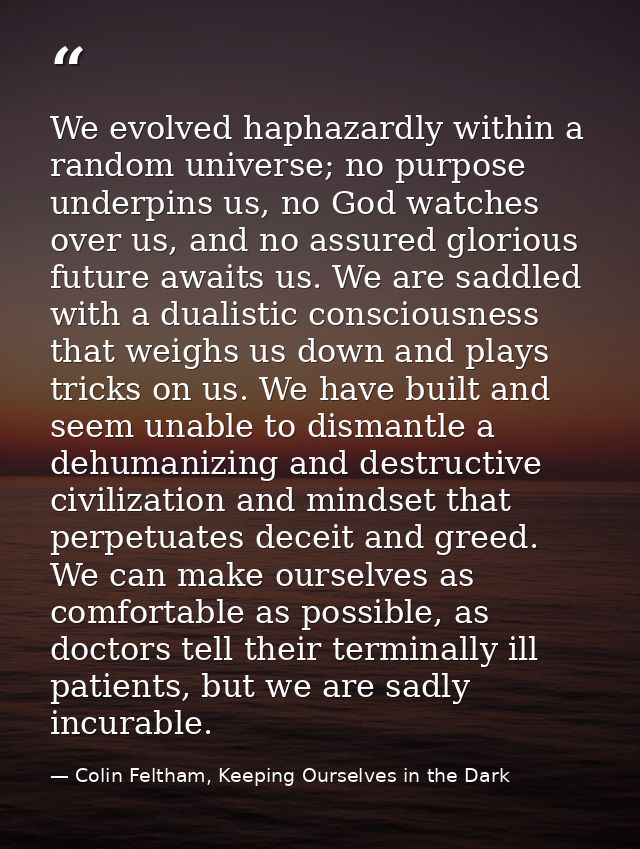 We evolved haphazardly within a random universe; no purpose underpins us, no God watches over us, and no assured gloriou — Colin Feltham, Keeping Ourselves in the Dark