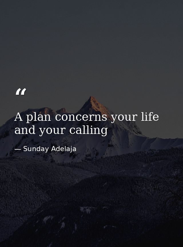A plan concerns your life and your calling — Sunday Adelaja