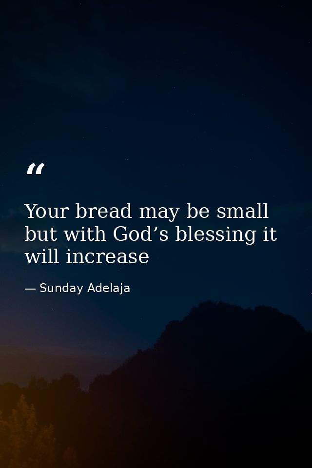 Your bread may be small but with God’s blessing it will increase — Sunday Adelaja