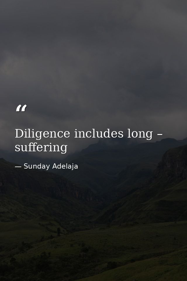 Diligence includes long – suffering — Sunday Adelaja