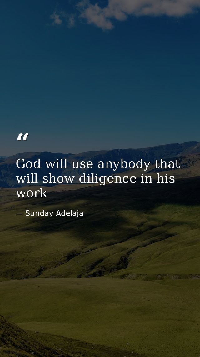 God will use anybody that will show diligence in his work — Sunday Adelaja
