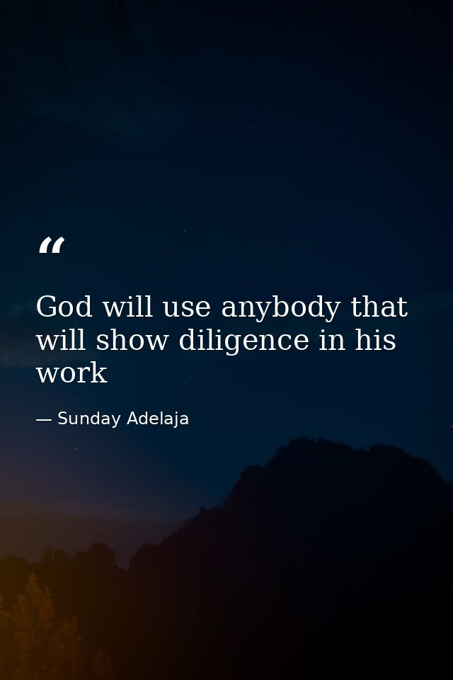 God will use anybody that will show diligence in his work — Sunday Adelaja