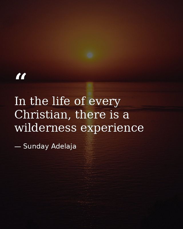 In the life of every Christian, there is a wilderness experience — Sunday Adelaja
