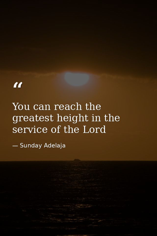 You can reach the greatest height in the service of the Lord — Sunday Adelaja