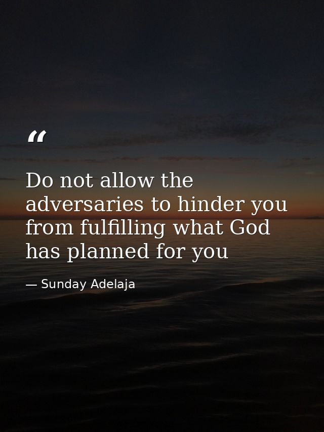 Do not allow the adversaries to hinder you from fulfilling what God has planned for you — Sunday Adelaja