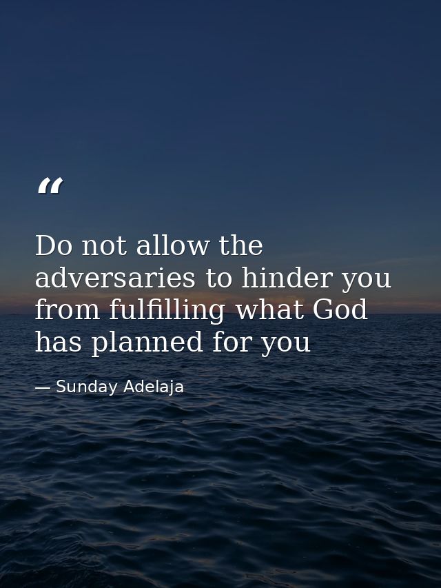 Do not allow the adversaries to hinder you from fulfilling what God has planned for you — Sunday Adelaja