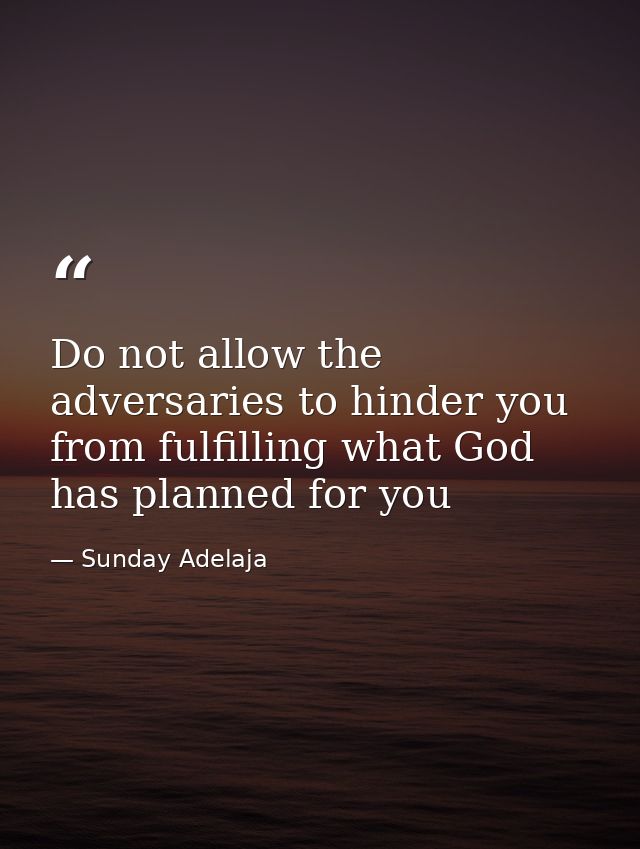 Do not allow the adversaries to hinder you from fulfilling what God has planned for you — Sunday Adelaja
