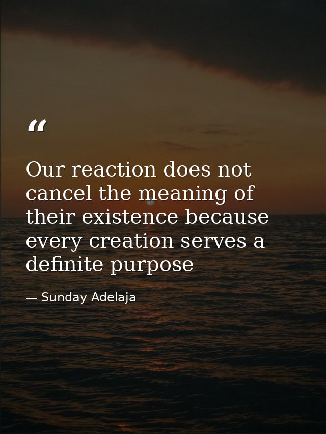 Our reaction does not cancel the meaning of their existence because every creation serves a definite purpose — Sunday Adelaja