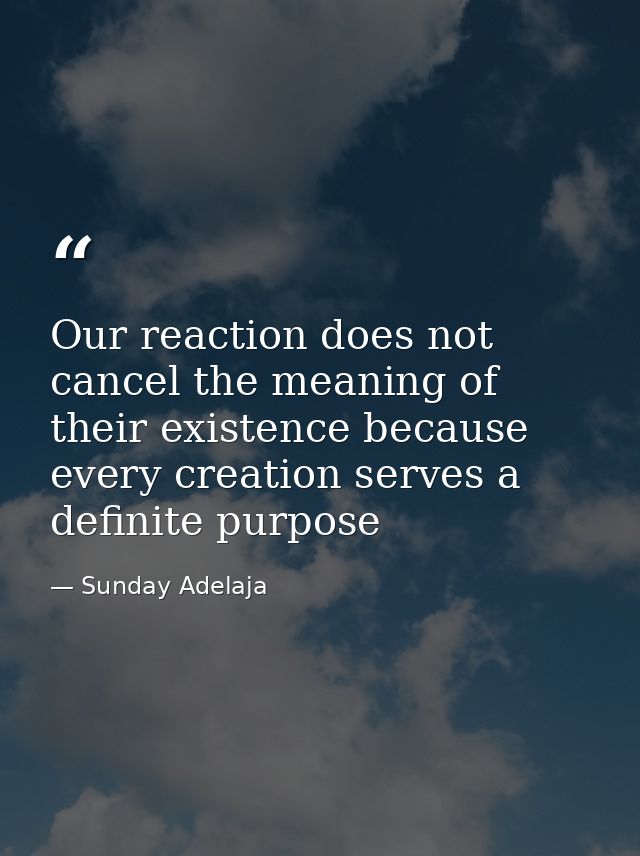 Our reaction does not cancel the meaning of their existence because every creation serves a definite purpose — Sunday Adelaja