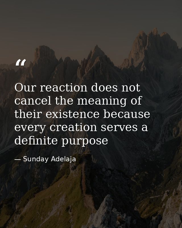 Our reaction does not cancel the meaning of their existence because every creation serves a definite purpose — Sunday Adelaja