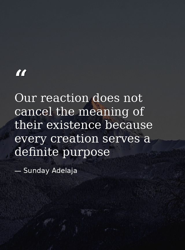 Our reaction does not cancel the meaning of their existence because every creation serves a definite purpose — Sunday Adelaja