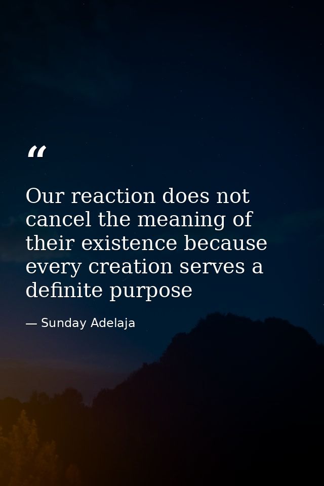 Our reaction does not cancel the meaning of their existence because every creation serves a definite purpose — Sunday Adelaja