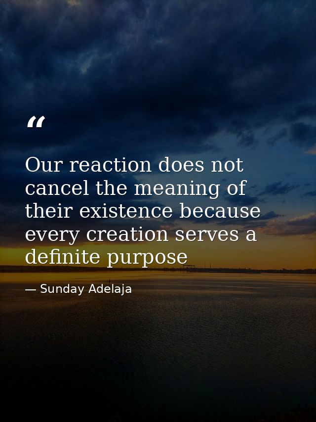 Our reaction does not cancel the meaning of their existence because every creation serves a definite purpose — Sunday Adelaja