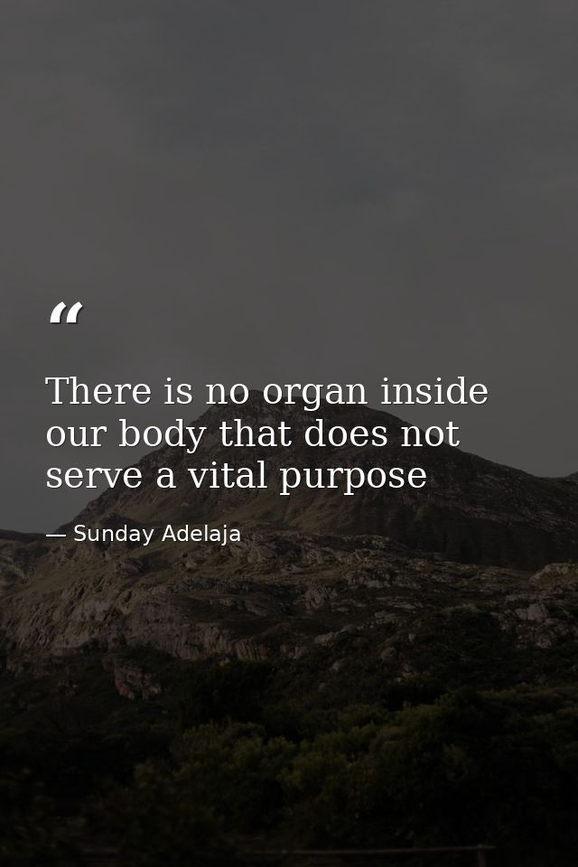 There is no organ inside our body that does not serve a vital purpose — Sunday Adelaja
