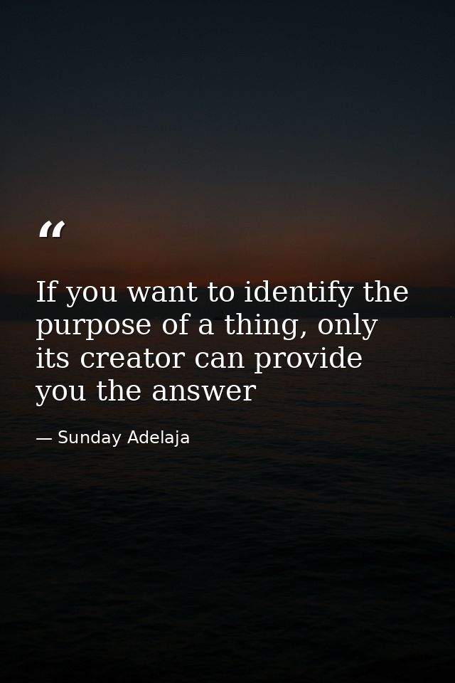 If you want to identify the purpose of a thing, only its creator can provide you the answer — Sunday Adelaja